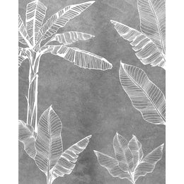 Charcoal Bloom