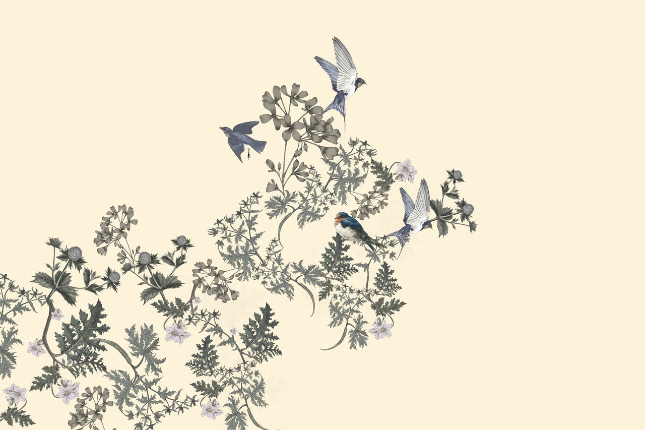 Petal Palette